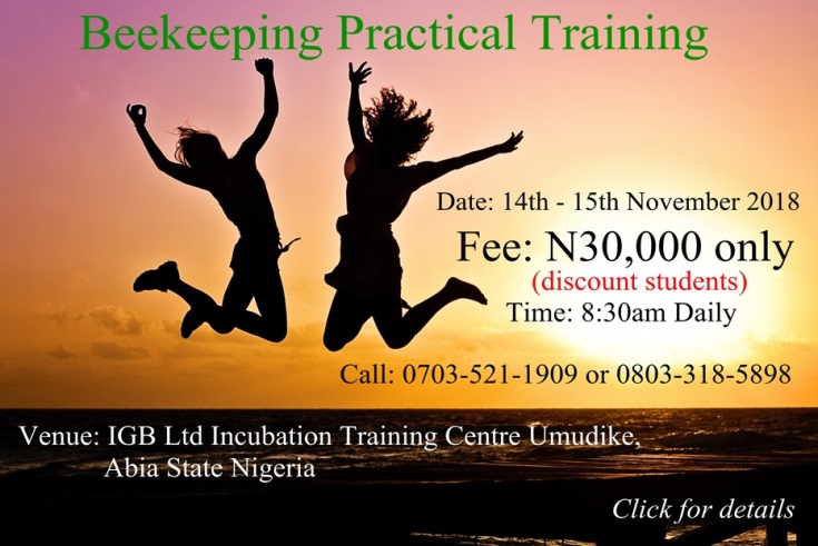 Beekeeping Practical Training